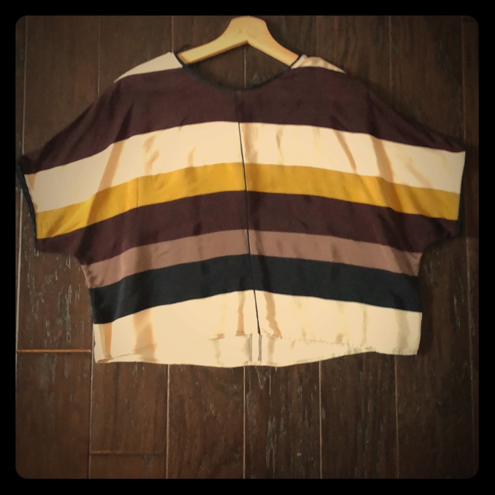 Zara crop top blouse